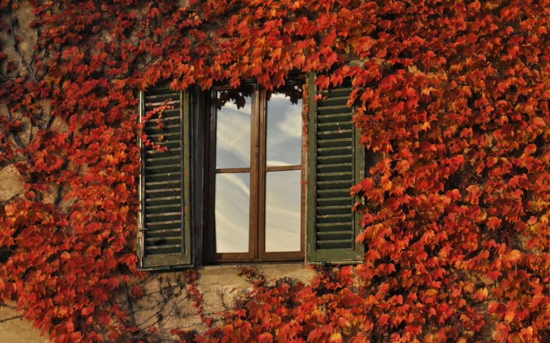 Offerta autunno 2018 in Chianti