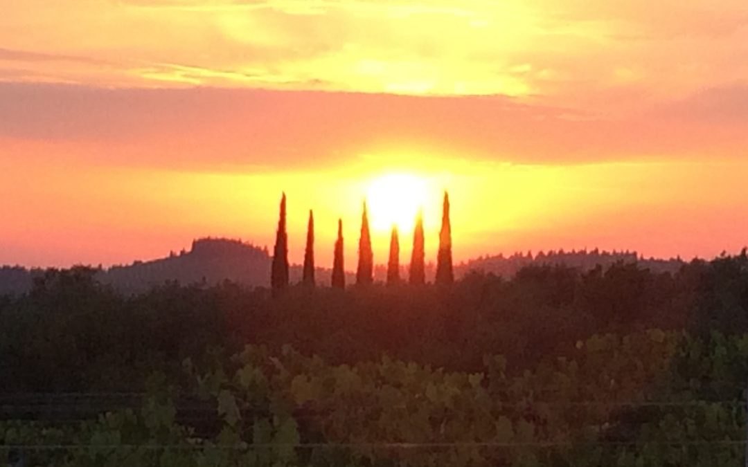 Yoga e Meditazione in Chianti