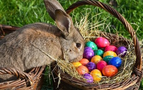 Offerta Pasqua 2018 in Chianti