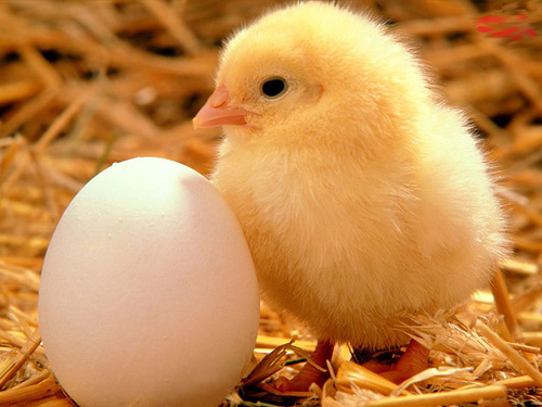 Offerta Pasqua 2019 in Chianti
