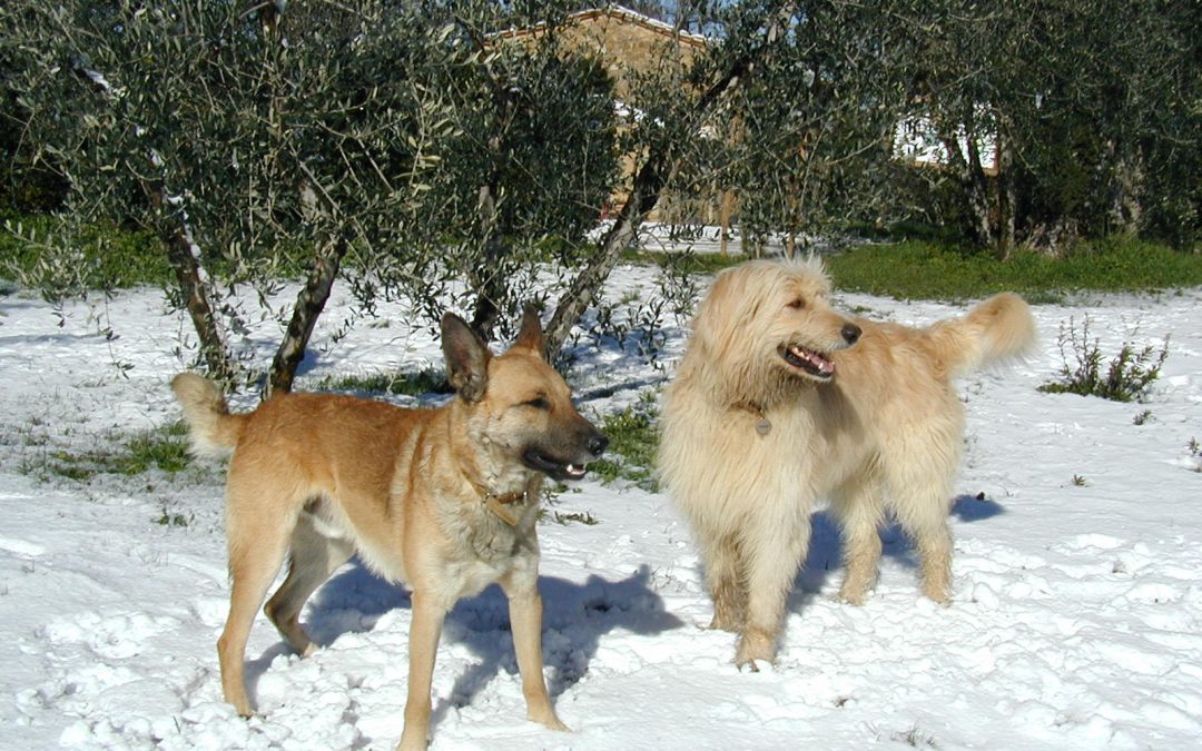 Winter Offer in Chianti