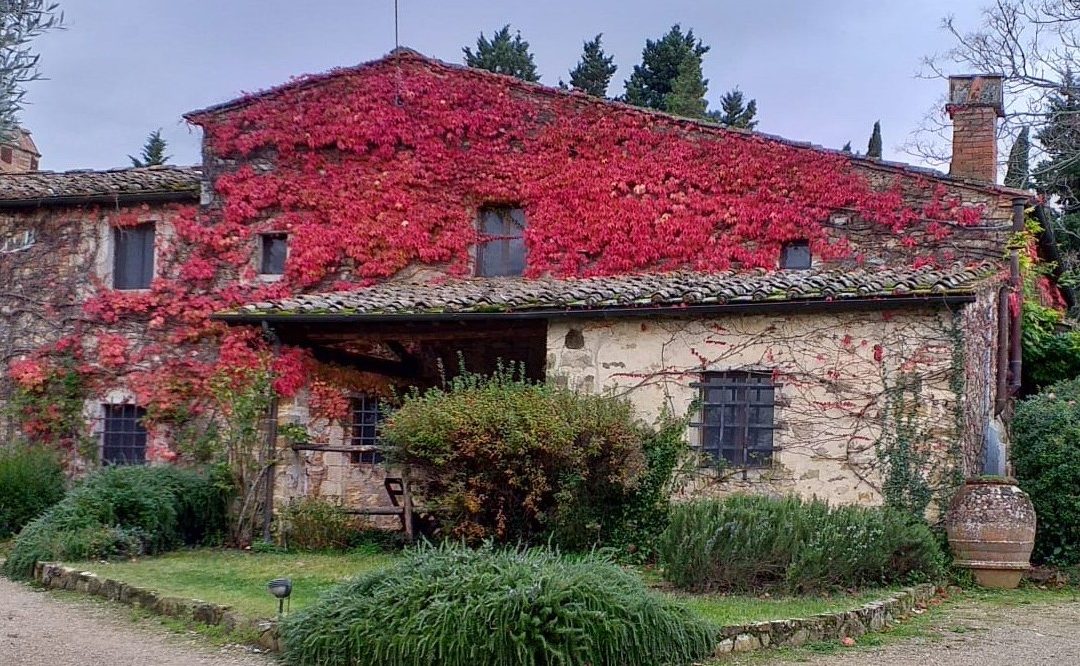 Herbst Angebot im Chianti