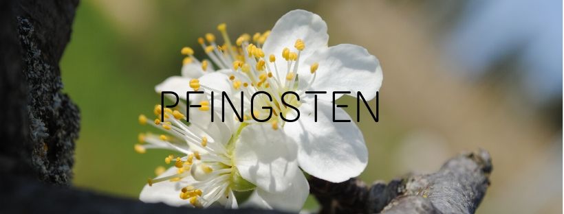 Frühling und Pfingsten Angebot im Chianti