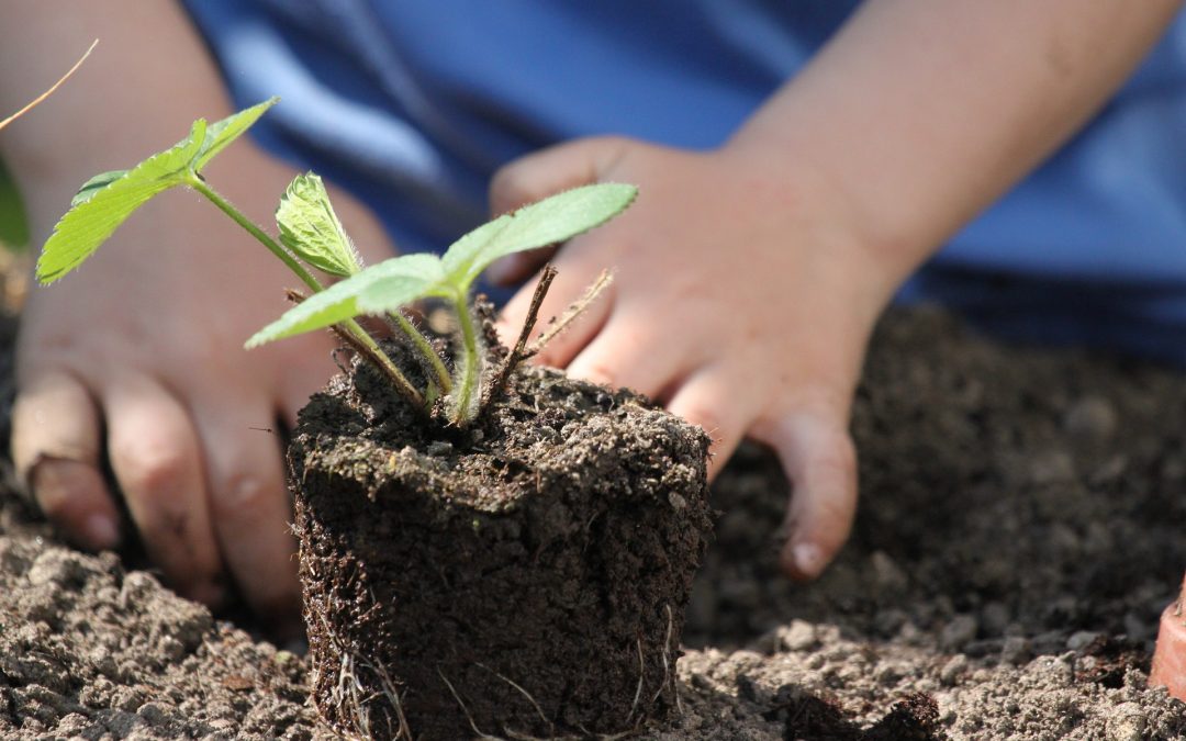 Orto per bimbi nel Chianti